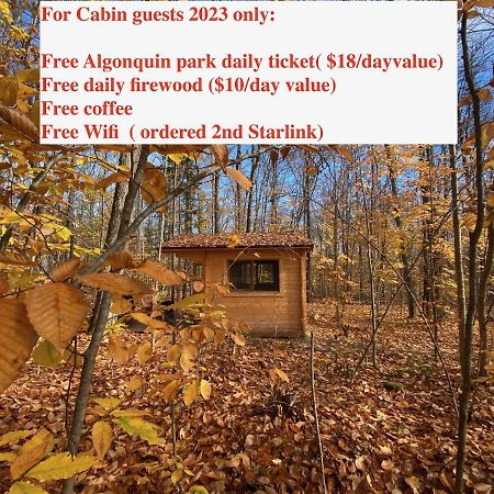 Algonquin Madawaska Lodge Cottage Glamping Cabins Buitenkant foto