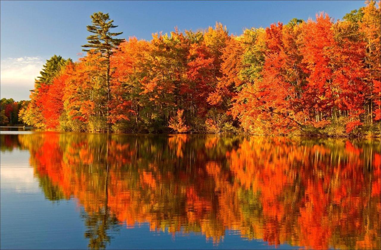 Algonquin Madawaska Lodge Cottage Glamping Cabins Buitenkant foto